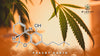 What are delta 9 drinks and their benefits?