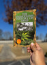 The Indigenous History of Hemp Paperback